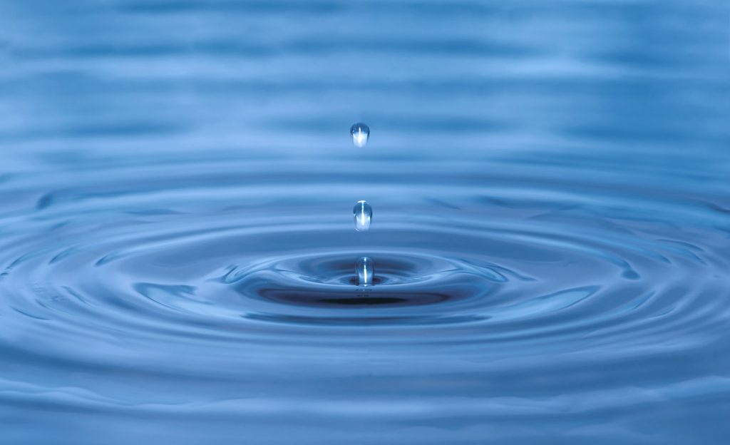 A stone in the pond